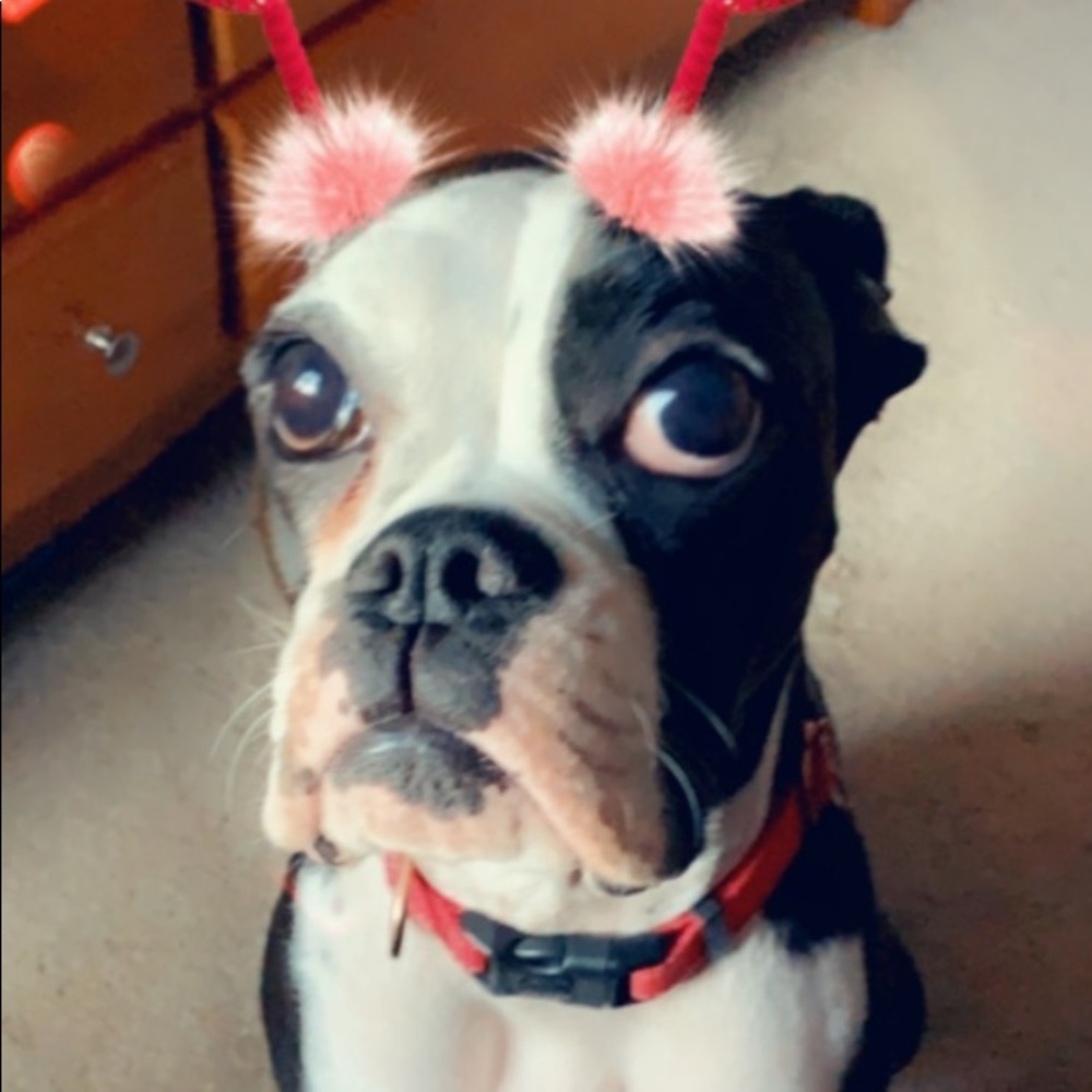 Meet your Posher, Carrie